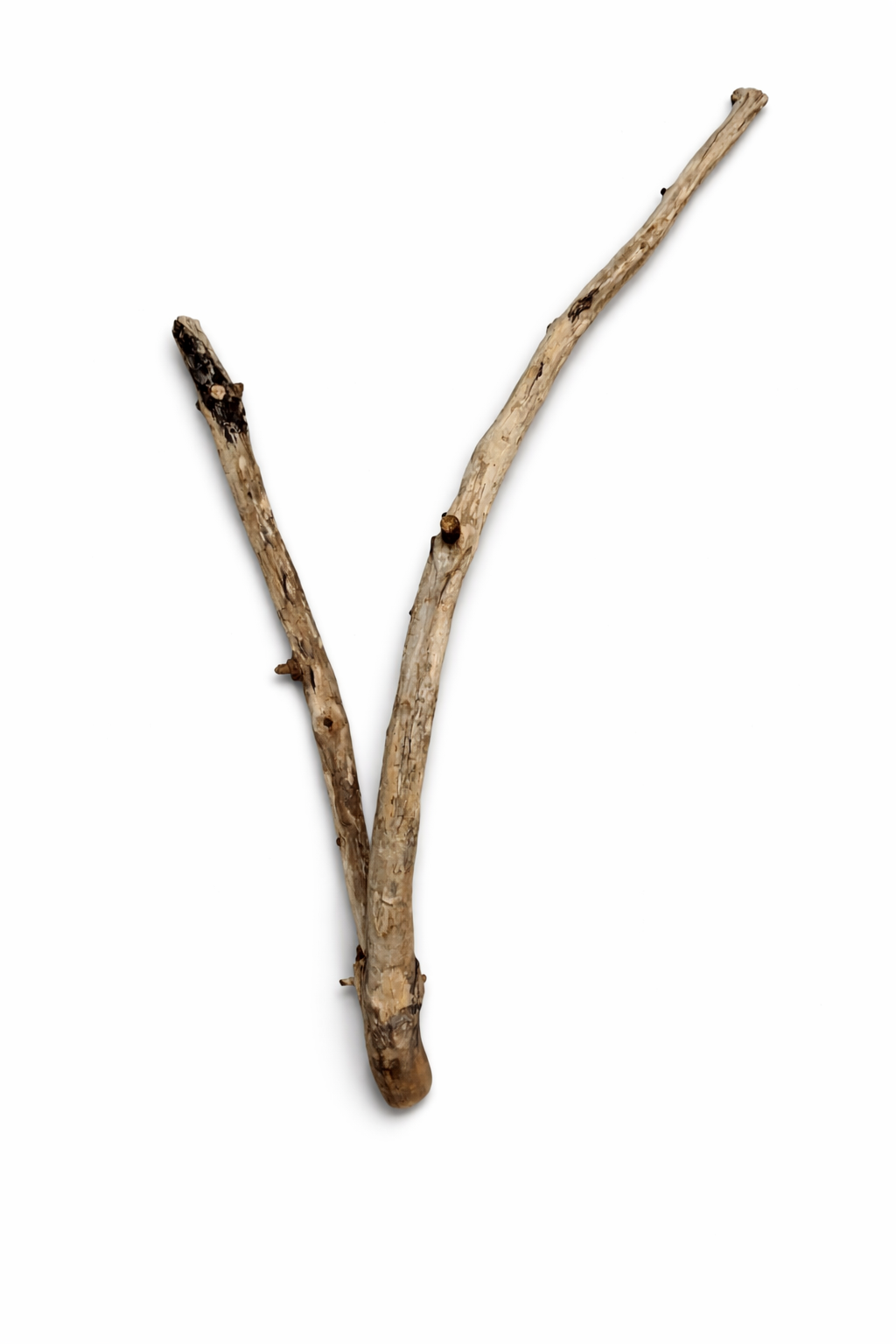 file_000000002adc720a997824258b7d22b2