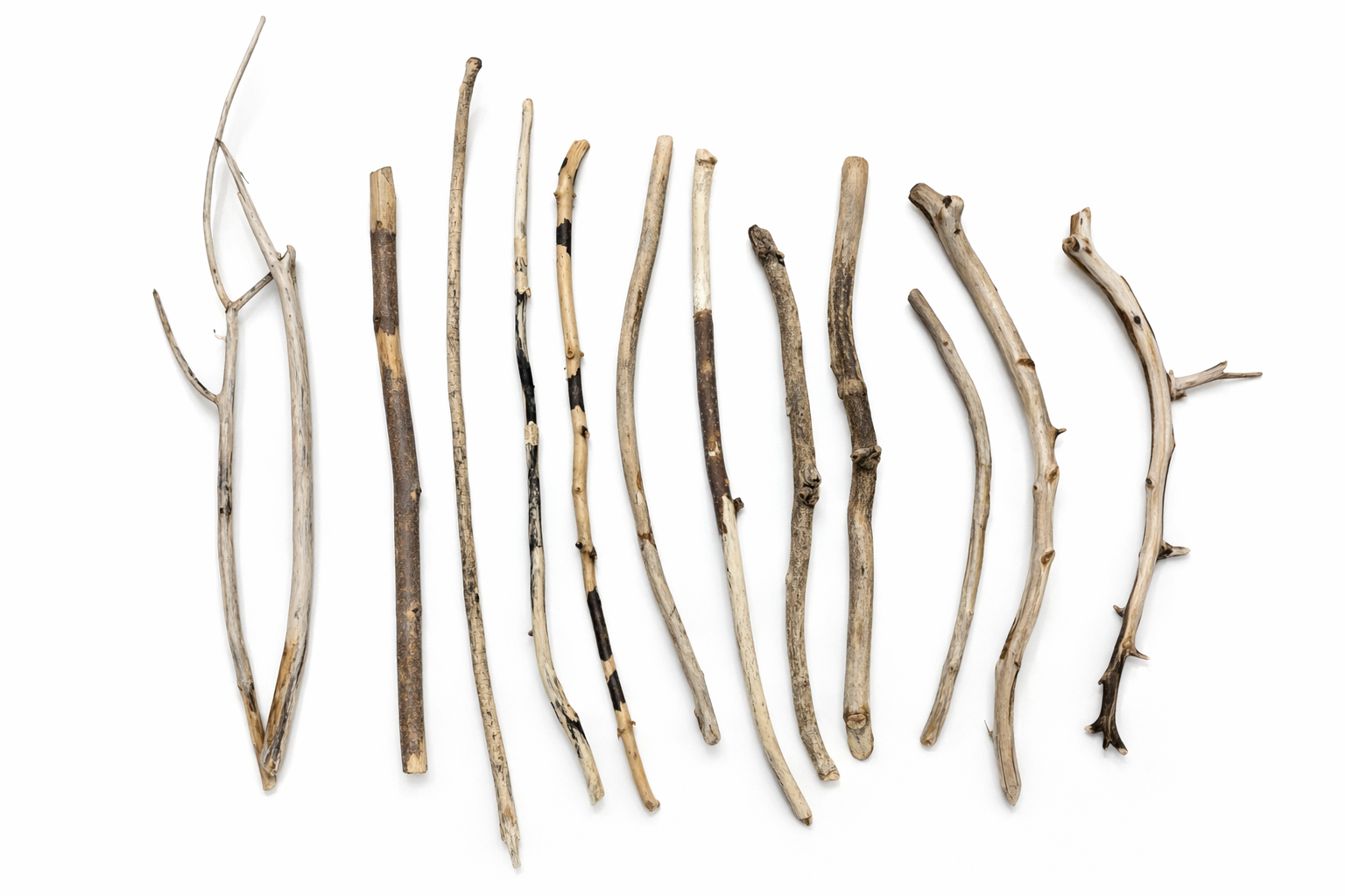 file_000000003630724384e4886621efefdc