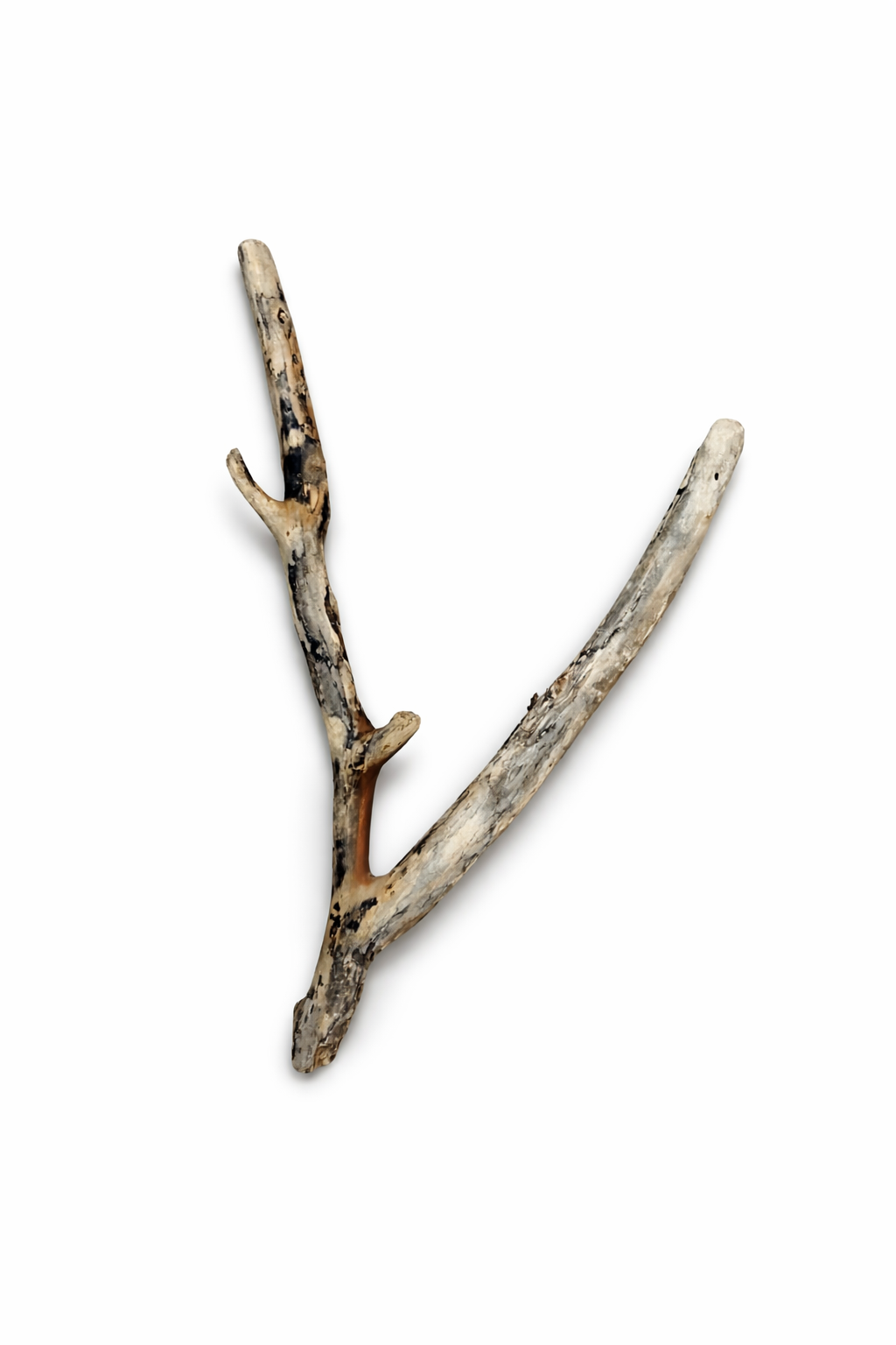 file_0000000083fc7246a3795fc7b9093075