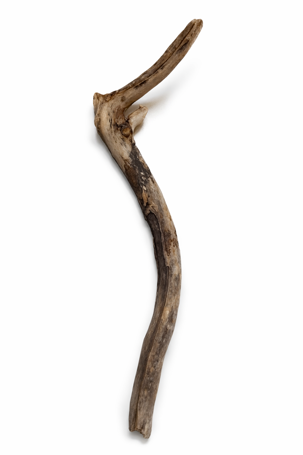 file_000000009a8c720a8e1c6e1228cc3c8f