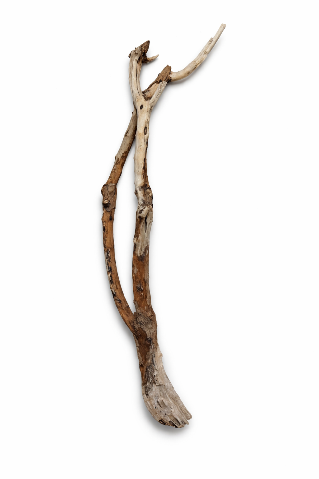 file_00000000bb08720a8e342b28db84cc4f