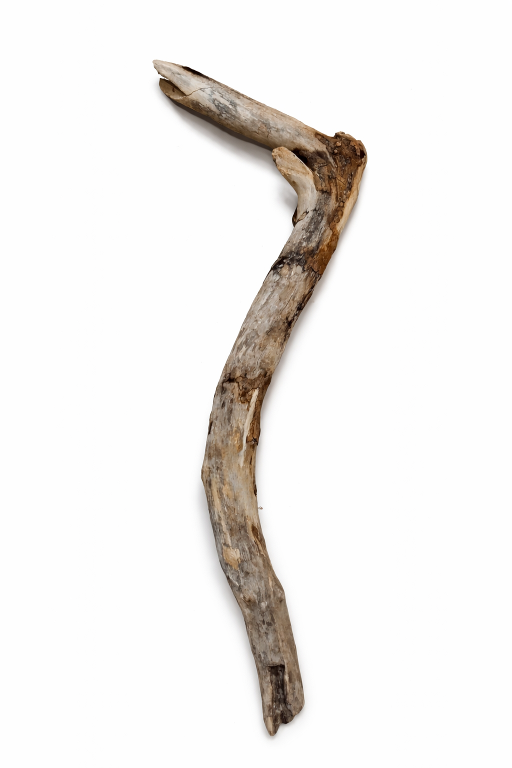 file_00000000fba8720a8a566d6e72f3ebc1