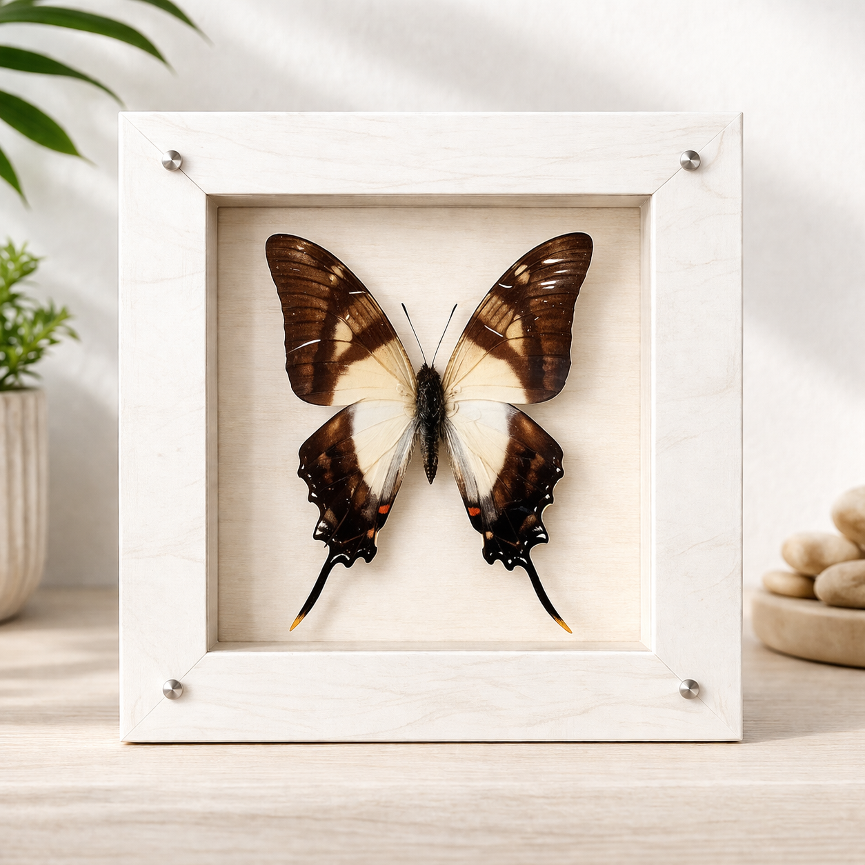 file_000000002b5471fdaec7795baed044c9