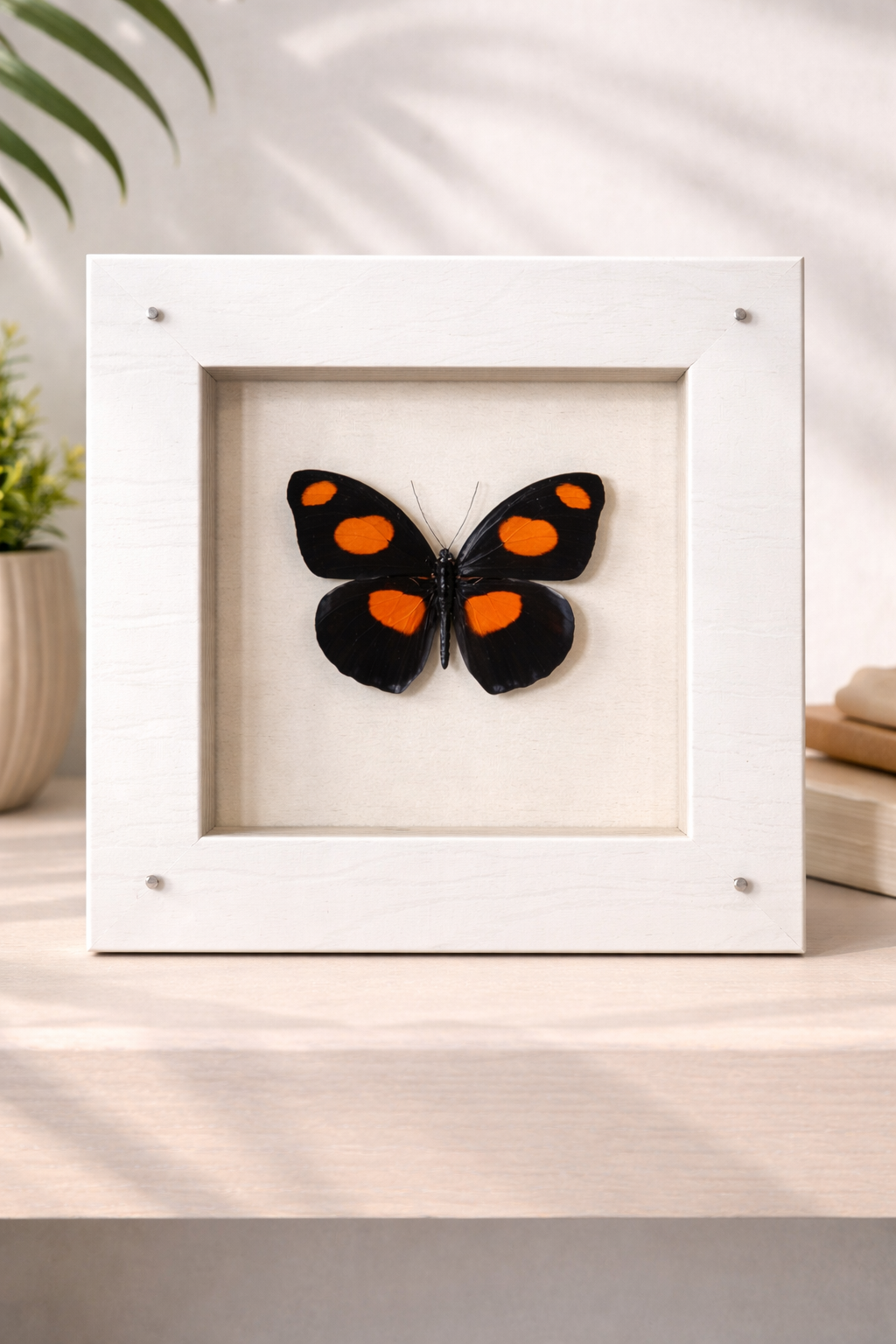 file_00000000807c71fd9619c33c943908a3