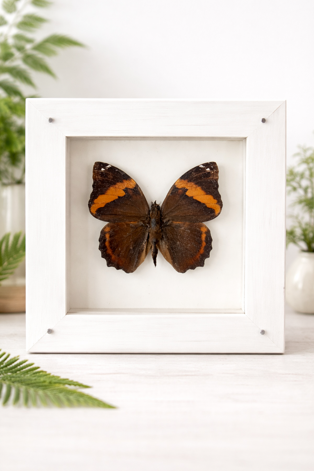 file_0000000081b871f5912798679109119c