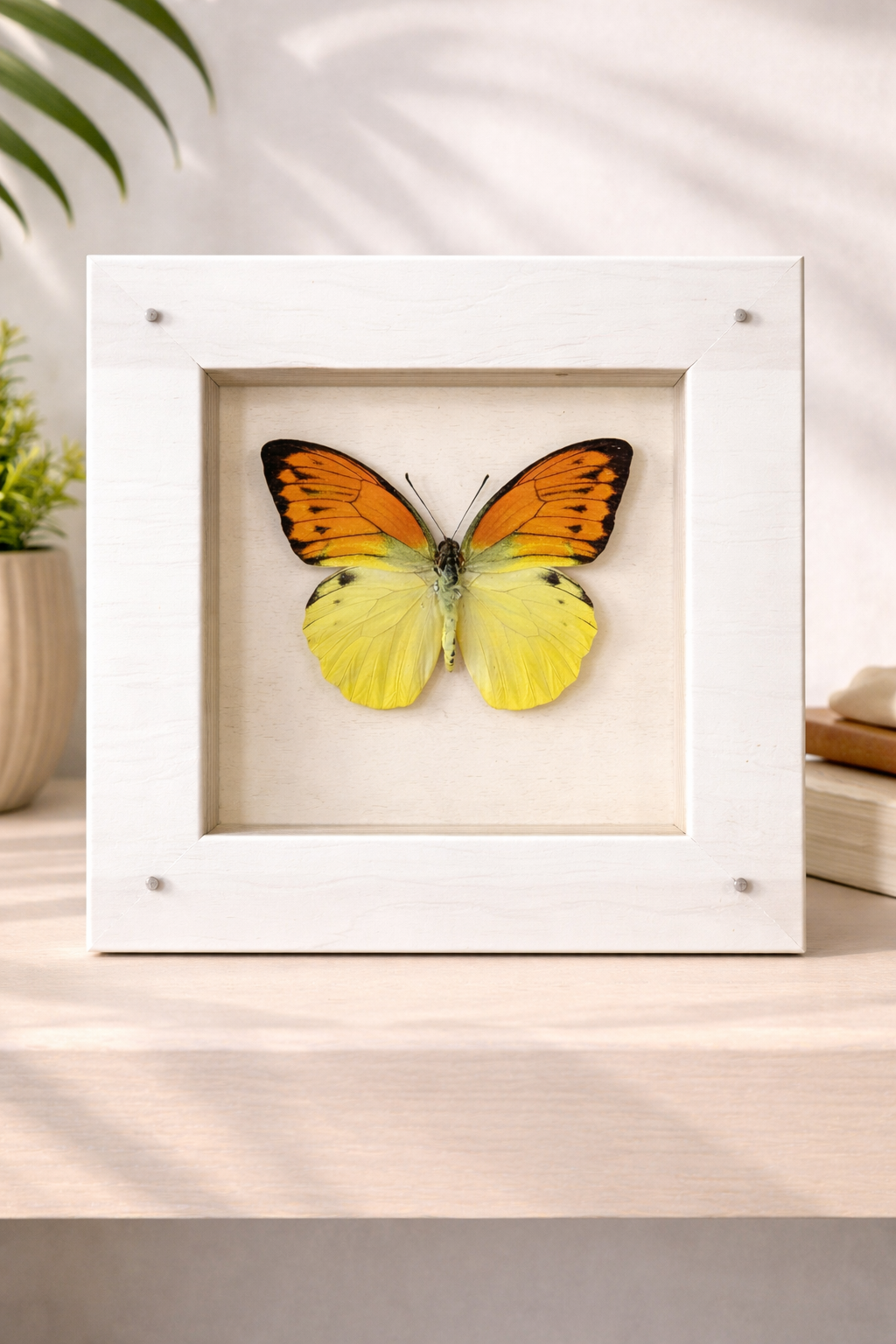 file_0000000086c871fd836262e0d69e6b5c