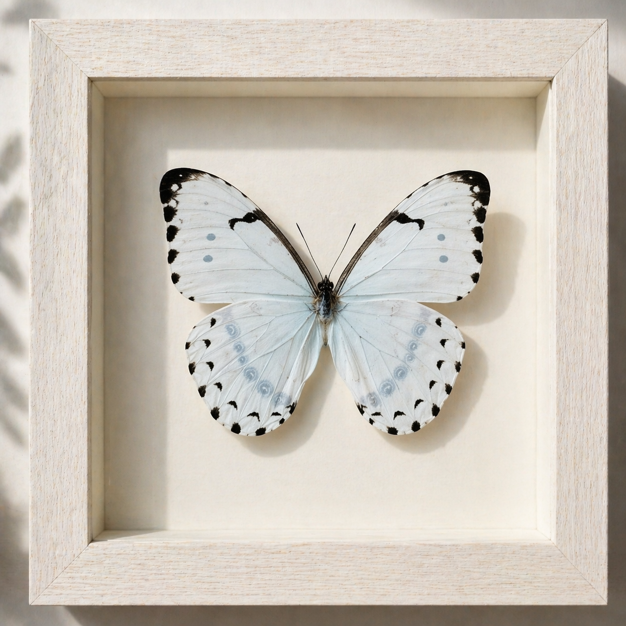 file_00000000c3047246ba5646a7fe31d56a