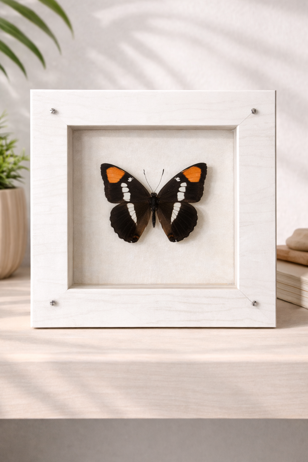 file_00000000da3871fd954d54e28ec6f9e4